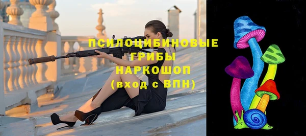 таблы Богородицк