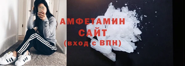 ГАЛЛЮЦИНОГЕННЫЕ ГРИБЫ Богданович