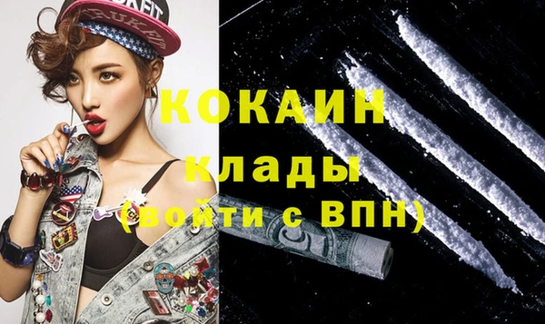 ГАЛЛЮЦИНОГЕННЫЕ ГРИБЫ Богданович