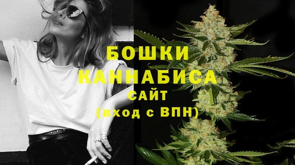ГАЛЛЮЦИНОГЕННЫЕ ГРИБЫ Богданович