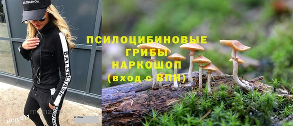 гидропоника Богородск