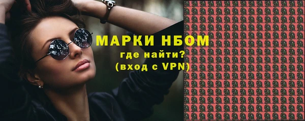 ГАЛЛЮЦИНОГЕННЫЕ ГРИБЫ Богданович