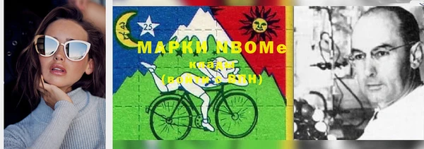 ГАЛЛЮЦИНОГЕННЫЕ ГРИБЫ Богданович