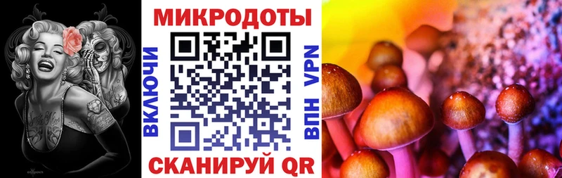 Галлюциногенные грибы Cubensis  Вихоревка 